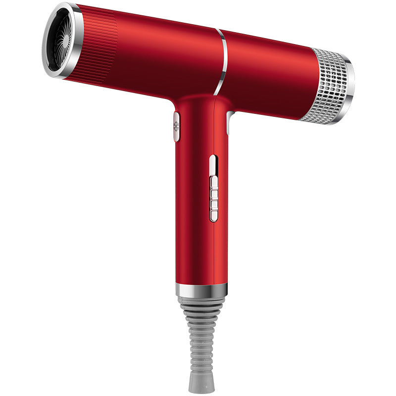 Professional Infrared Ionic Hair Dryer